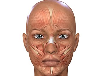 starenie_mimicheskih_myshc_lica